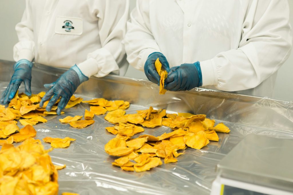 Sorting dried mango slices